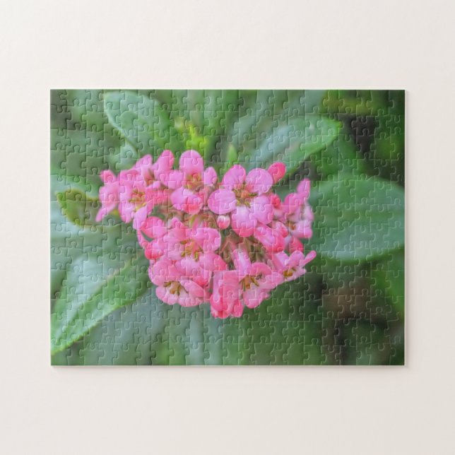 Dainty Pink Blume Garten Blumenpuzzle (Horizontal)