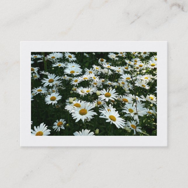 Daisées, Mini Carte photo (Devant)