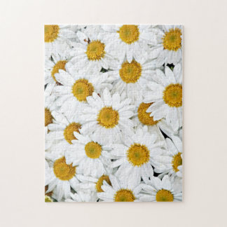 Daisies