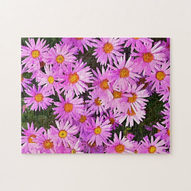 DAISIES (Horizontal)