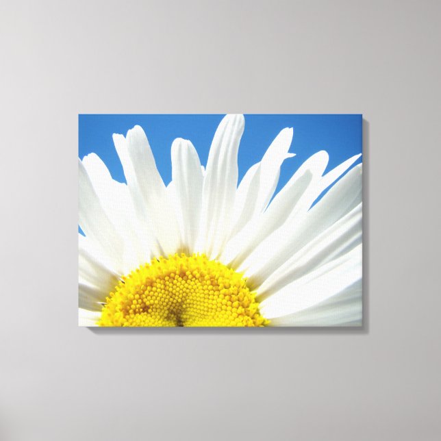 Daisies Blume Blumenkunst druckt Daisy Leinwand (Vorderseite)