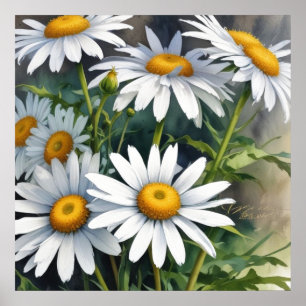 Daisies Bunch Blume Elegante Wasserfarbe Poster