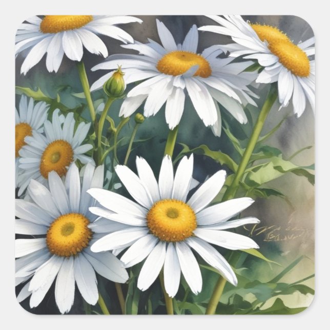 Daisies Bunch Blume Elegante Wasserfarbe Quadratischer Aufkleber (Vorderseite)