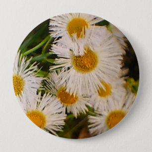 Daisies Button
