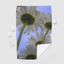 Daisies Days