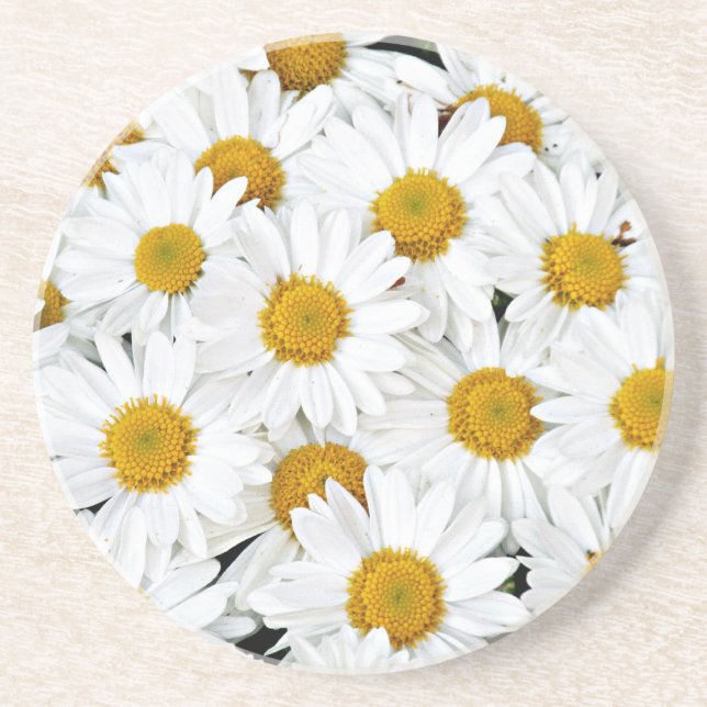 Daisies Getränkeuntersetzer (Vorne)
