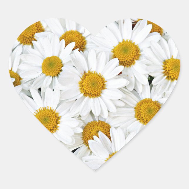 Daisies Herz-Aufkleber (Vorderseite)