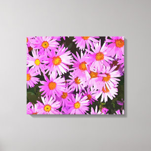 DAISIES LEINWANDDRUCK