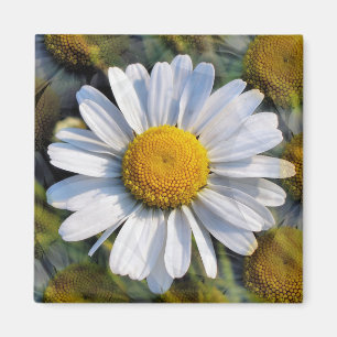 DAISIES MAGNET