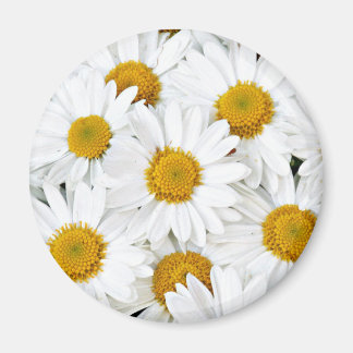 Daisies Magnet