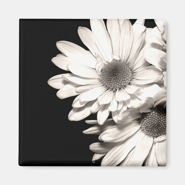 Daisies Magnet (Vorne)