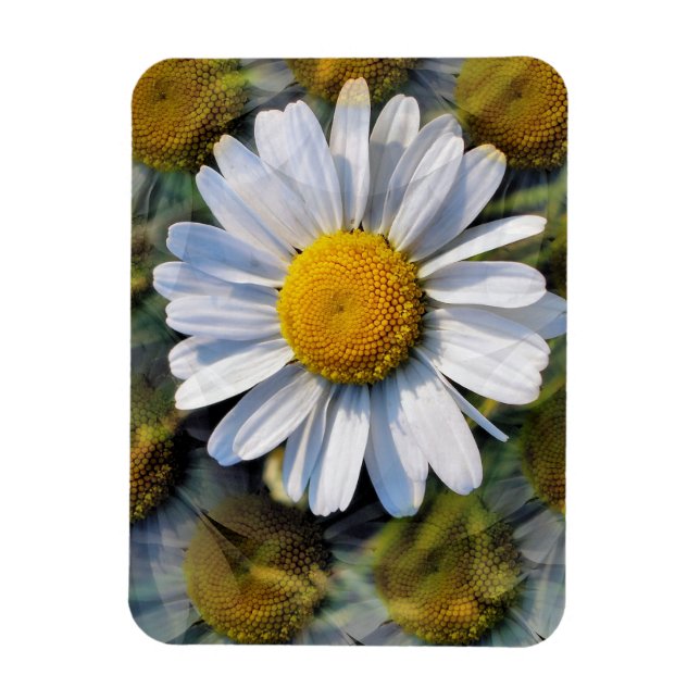 DAISIES MAGNET (Vertikal)