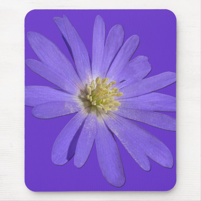 Daisies Mousepad Blue Flowers Computerdekoration (Vorne)