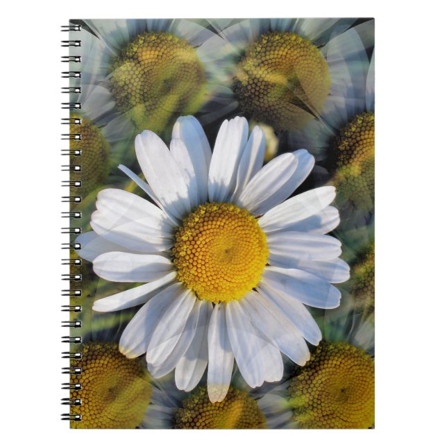 DAISIES NOTIZBLOCK (Vorderseite)