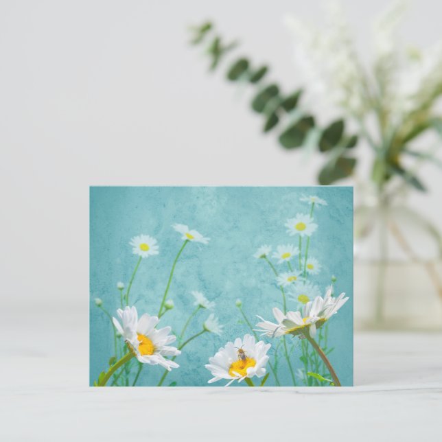 Daisies on a blue background postkarte (Stehend Vorderseite)