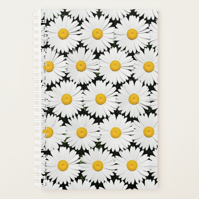 Daisies Planer (Vorderseite)