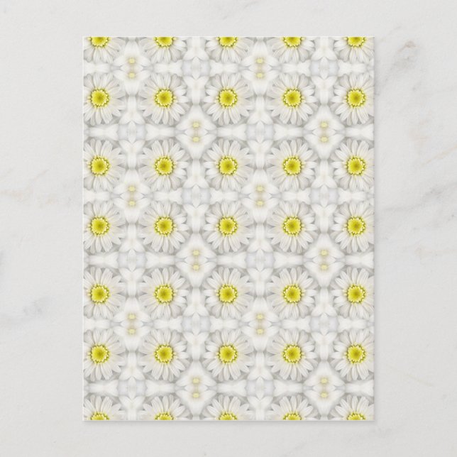 Daisies Postkarte (Vorderseite)