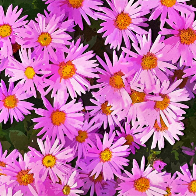 DAISIES RUNDER AUFKLEBER (A watercolor of pretty pink daisies. )