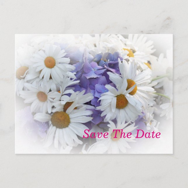 Daisies Summer Wedding Verlobung Postcard Postkarte (Vorderseite)