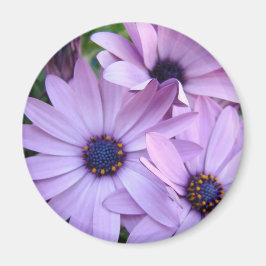 Daisis Blume 1 Muttertag Geschenke Karten Tasse Magnet