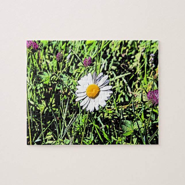 Daisy (Horizontal)