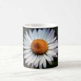 Daisy 1 Tasse