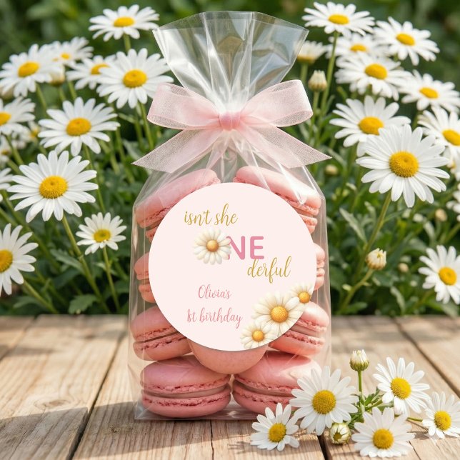 Daisy 1st Birthday Isn't She ONEderful Boho Runder Aufkleber (Daisy 1st Birthday Isn't She ONEderful Boho Classic Round Sticker)