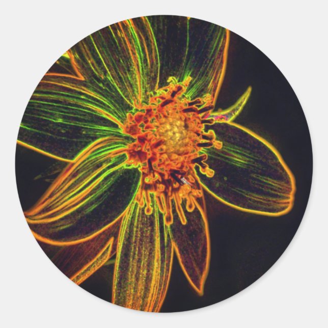 Daisy Abstrakt Blume Art Runder Aufkleber (Vorderseite)