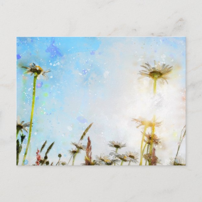 Daisy - Akrylprint Postkarte (Vorderseite)