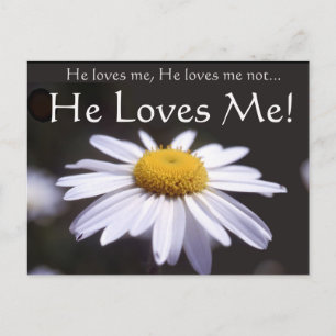 Daisy auf schwarzem Hintergrund Postkarte