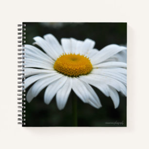 Daisy - Aufsehen Notizbuch
