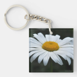 Daisy - Aufsehen Schlüsselanhänger