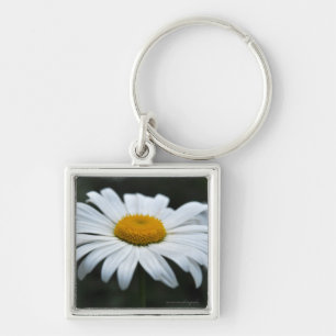 Daisy - Aufsehen Schlüsselanhänger