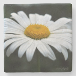 Daisy - Aufsehen Steinuntersetzer