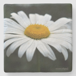 Daisy - Aufsehen Steinuntersetzer