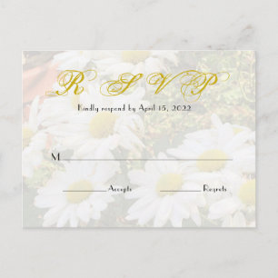 Daisy Background Fflügling Yellow Script Wedding Postkarte