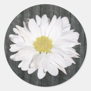 Daisy & Barnwood Sticker