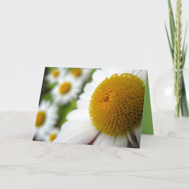Daisy Birthday Card Karte (Vorderseite)