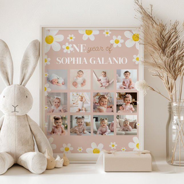 Daisy Bloom Foto Meilenstein-Poster Poster (Von Creator hochgeladen)