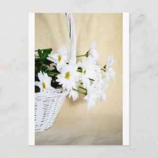 Daisy Blossoms Blume und Wicker Basket Postkarte