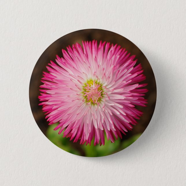 Daisy-Blume - Button (Vorderseite)