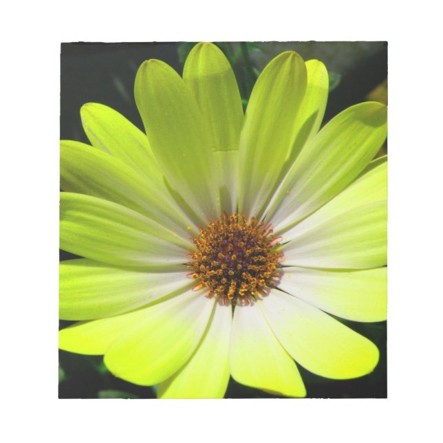 Daisy Blume Fluorescent Yellow Notepad Notizblock (Vorderseite)
