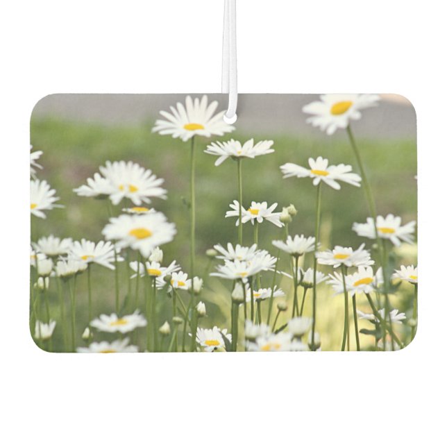 Daisy Blume Foto Autolufterfrischer (Vorderseite)