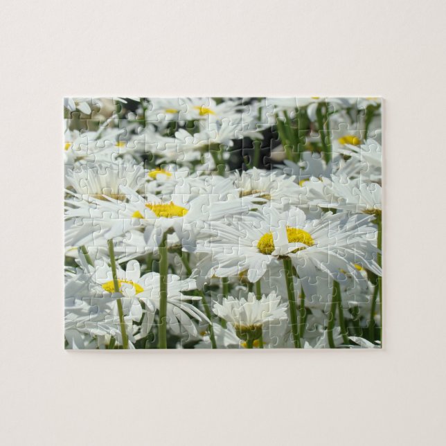Daisy Blume Garden Puzzle Fun Time Puzzles (Horizontal)