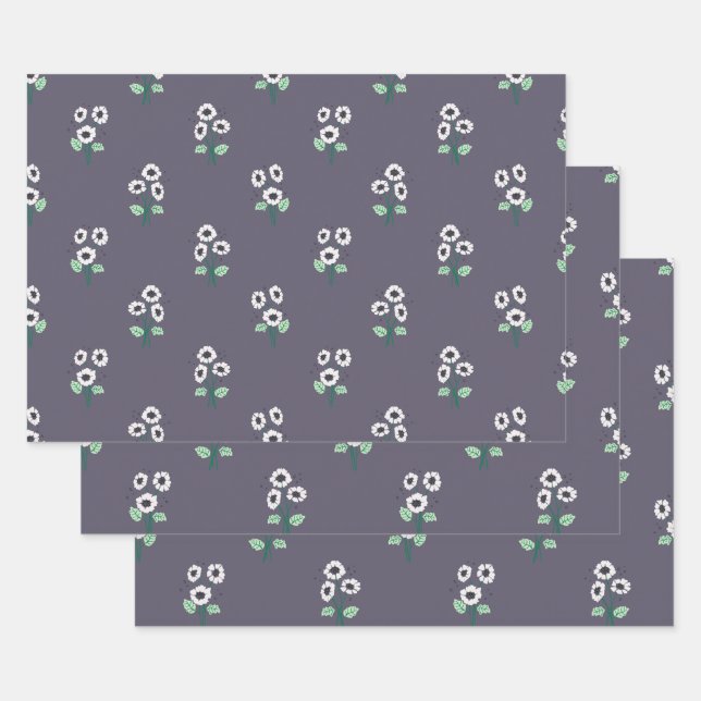 Daisy Blume Geschenkpapier Set (Set)