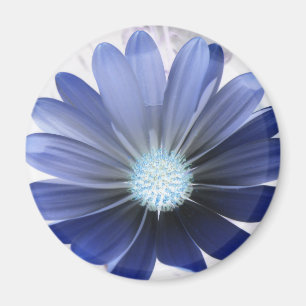 Daisy Blume Glows Blue Magnet