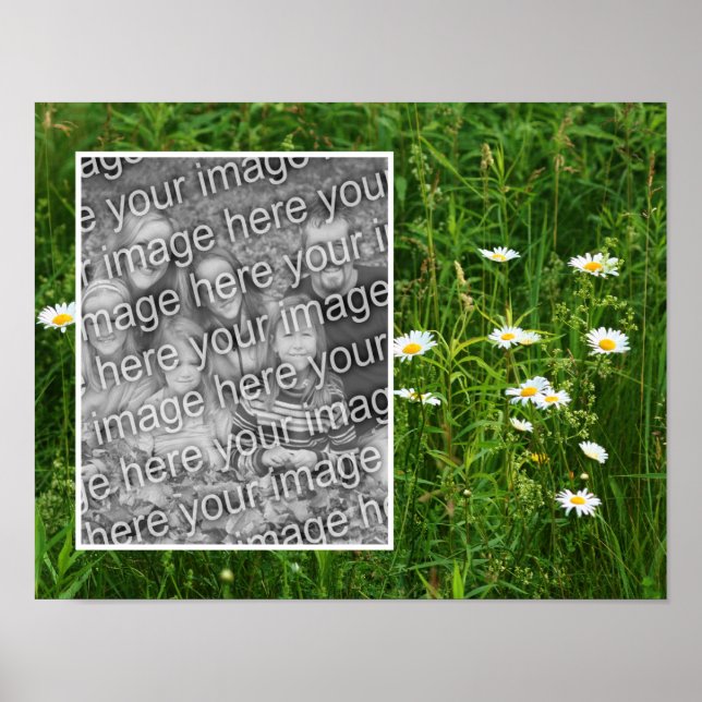 Daisy-Blume im Feld Hinzufügen Ihres Fotos Poster (Vorne)