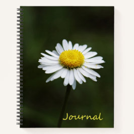 Daisy Blume Large 8.5" x 11" Journal-Notebook Notizbuch