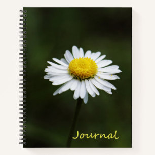 Daisy Blume Large 8.5" x 11" Journal-Notebook Notizbuch