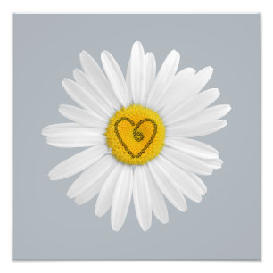 Daisy Blume Liebe Art Customizing Background Fotodruck